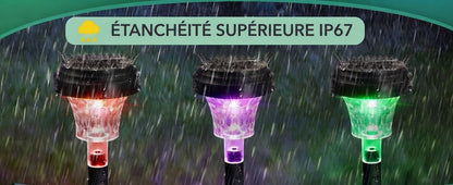 Solar Path Light – RGB & Warm White, IP67 Waterproof